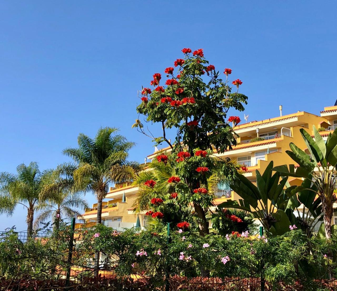 Apartamentos Tigaiga Suites Puerto de la Cruz  Exterior photo